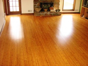 Bamboo_Flooring